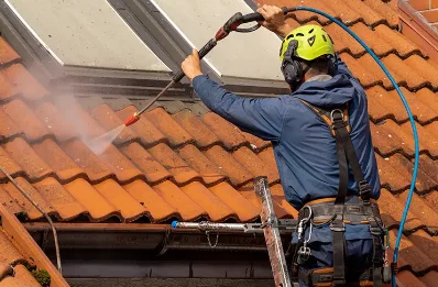 Démoussage et hydrofuge de toiture à Allenc